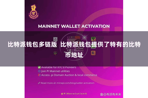 比特派钱包多链版  比特派钱包提供了特有的比特币地址