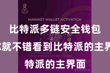 比特派多链安全钱包  你就不错看到比特派的主界面