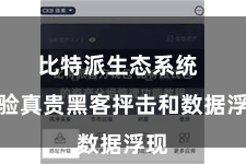 比特派生态系统  灵验真贵黑客抨击和数据浮现