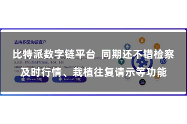 比特派数字链平台  同期还不错检察及时行情、栽植往复请示等功能
