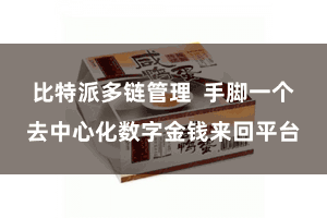 比特派多链管理  手脚一个去中心化数字金钱来回平台