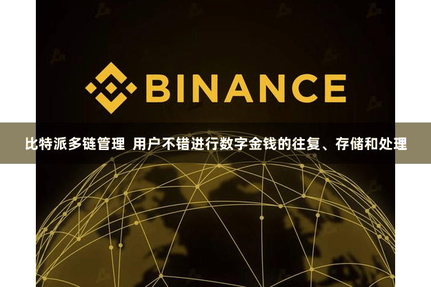 比特派多链管理  用户不错进行数字金钱的往复、存储和处理