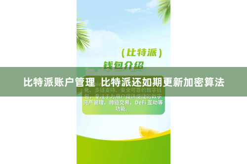 比特派账户管理  比特派还如期更新加密算法