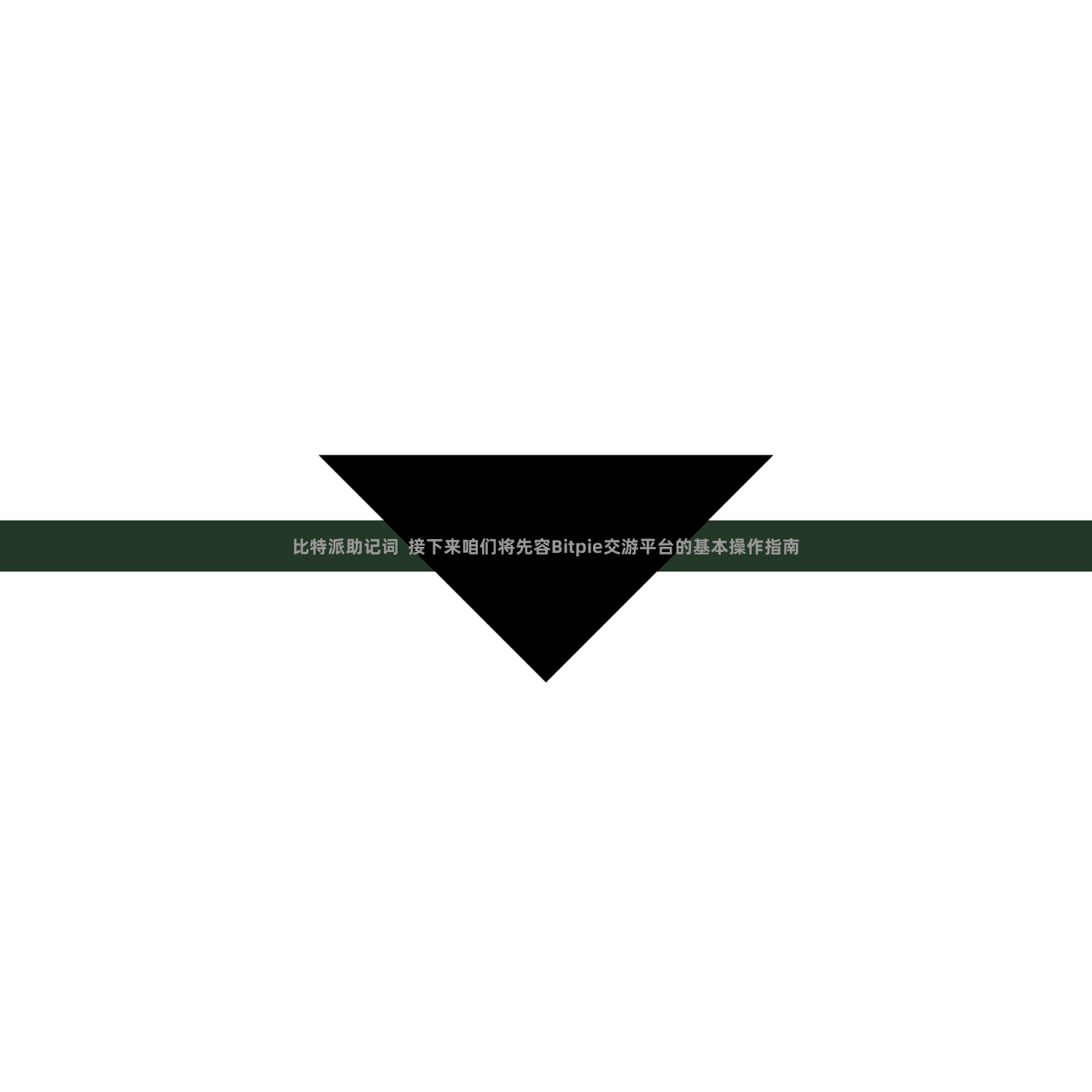 比特派助记词  接下来咱们将先容Bitpie交游平台的基本操作指南