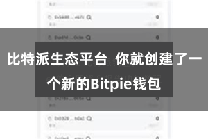 比特派生态平台  你就创建了一个新的Bitpie钱包