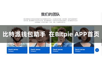 比特派钱包助手  在Bitpie APP首页