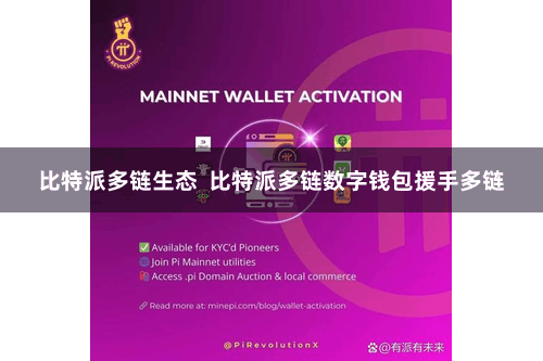 比特派多链生态  比特派多链数字钱包援手多链