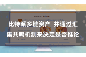 比特派多链资产  并通过汇集共鸣机制来决定是否推论