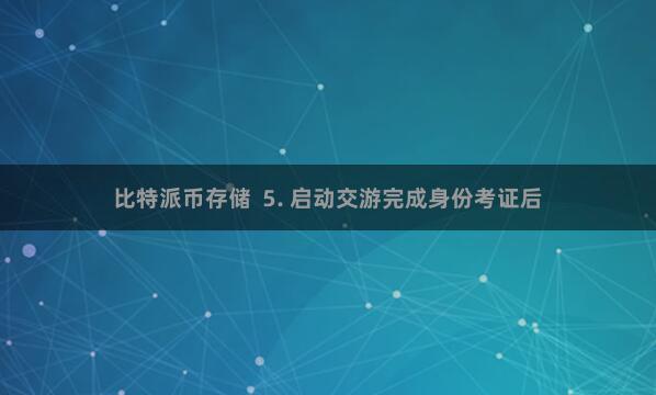 比特派币存储  5. 启动交游完成身份考证后