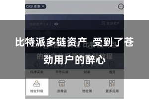 比特派多链资产  受到了苍劲用户的醉心