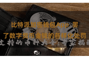 比特派加密钱包App  罢了数字货币金钱的各样化处罚